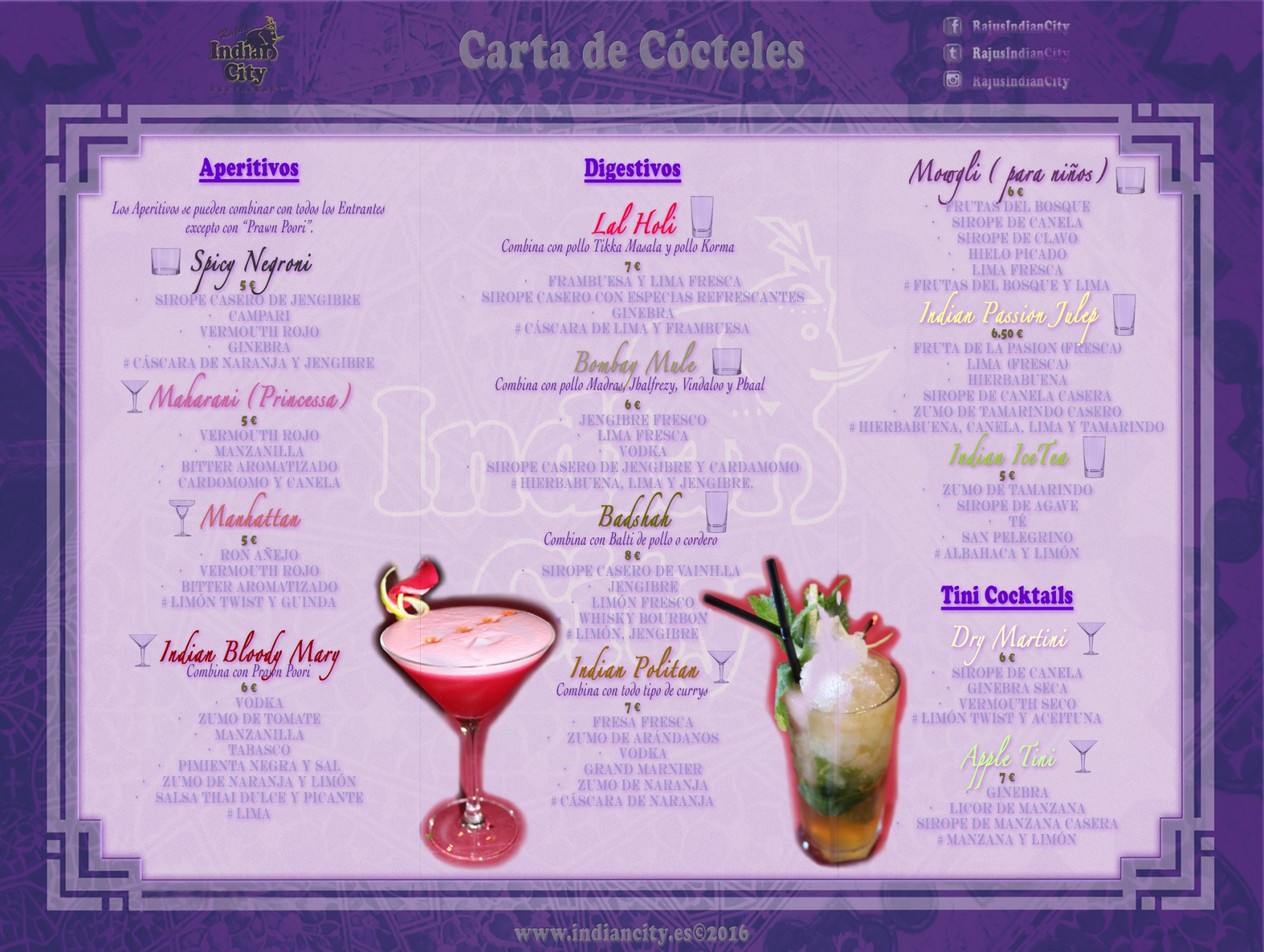 Maridaje de Comidas y Bebidas en RajusIndianCity